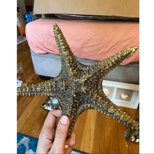 Gold Starfish Decor